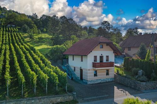 Trebnje House | Vineyard Cottage Pyramid - Happy Rentals