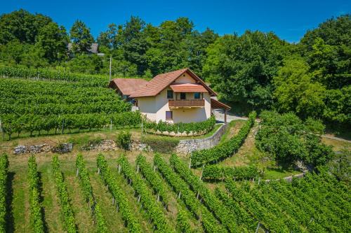 Srednje Grcevje House | Vineyard Cottage Ucman - Happy Rentals