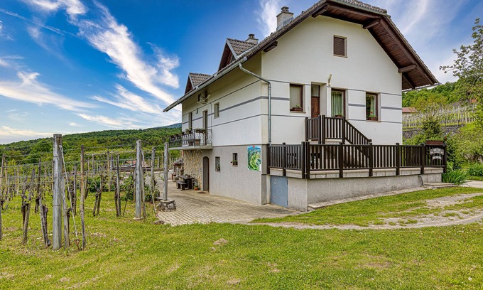 Crnomelj House | Vineyard Homestead Vrtin, Dragatuš, Slovenia