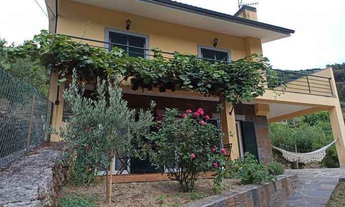 Barro House | Vineyards Valley House