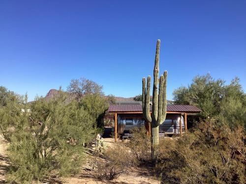 Picture Rocks House | Vintage Airstream Lola Saguaro National Park
