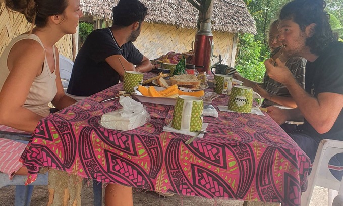 Tanna Island Bed & Breakfast | volcano island paradise