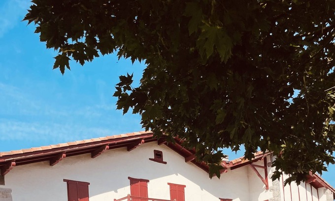 Armendarits Apartment | Vrbo Property