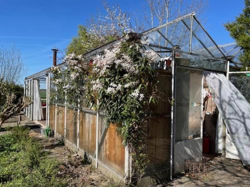 Hank House | Vrijstaande accommodatie Glamping de Kas InN
