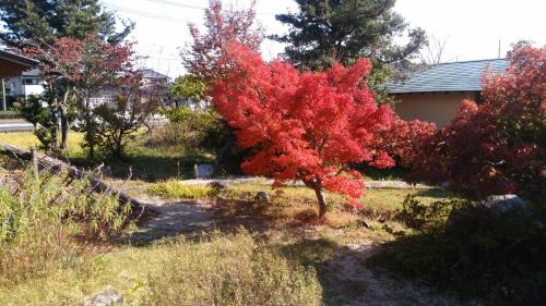 Kikugawa House | Wakihonjin