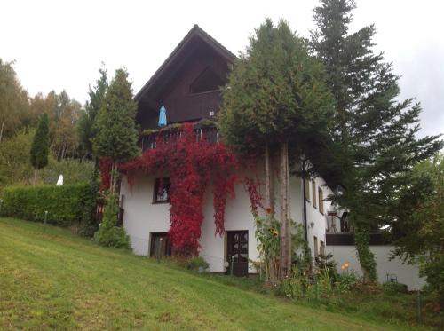 Tannenberg Apartment | Waldblick