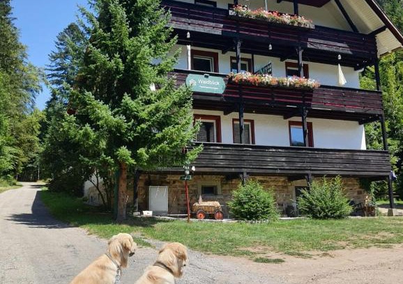 Bonndorf Apartment | Waldblick Ferienwohnungen