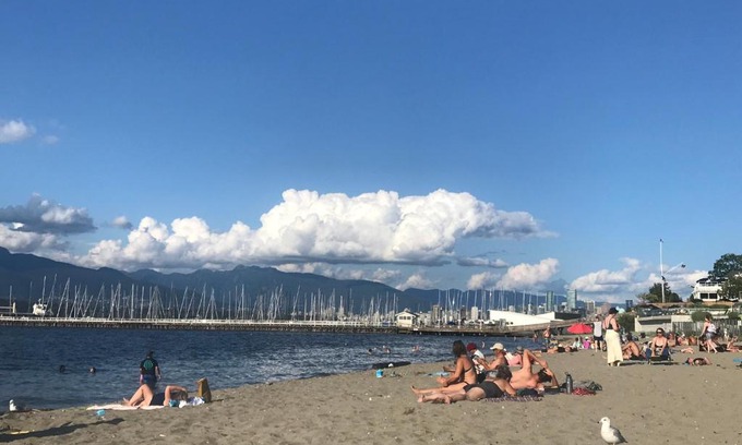 Kitsilano House | walk distance to kits beach 2bedrooms only for you
