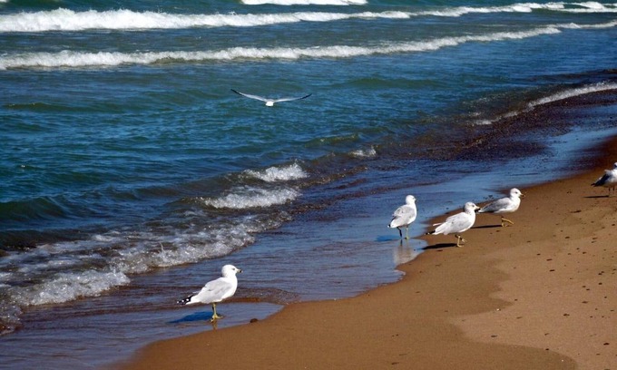 Michigan City Cottage | Walk to Lake Michigan Beach from Cottage in the Woods - *Seaside Fired Smores*