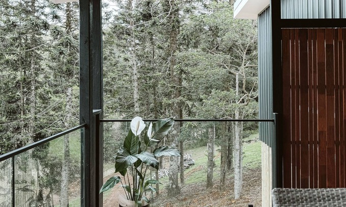 North Maleny Cottage | Wallaby 2 Bed, 1 Bath Cottage - Private Parkland Setting with Lake View