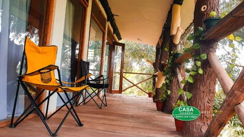 Mbale Cabin | Wanale Falls Lodge