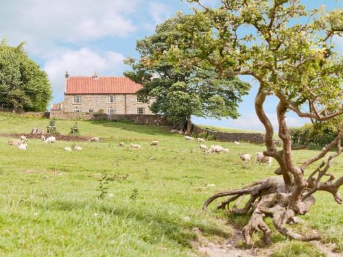Kildale House | Warren Farmhouse