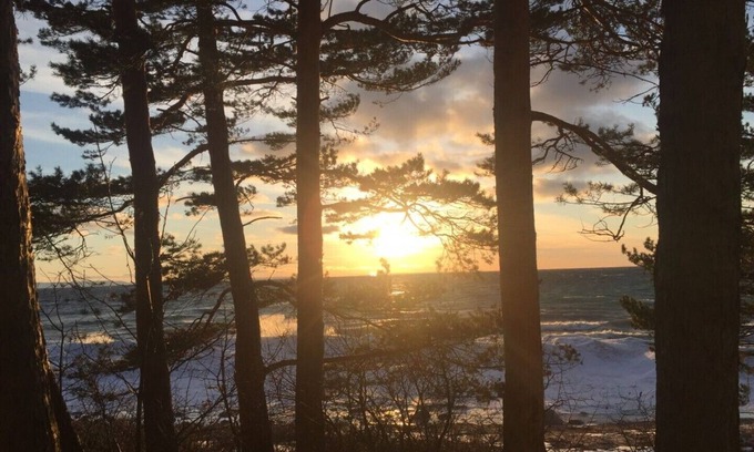 Tiny House | Waterfront Beach House on Georgian Bay