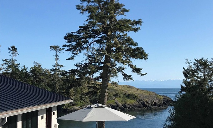 Friday Harbor Cabin | Waterfront Cove, West Side Of San Juan Island, Sandy Beach, Prime Orca location