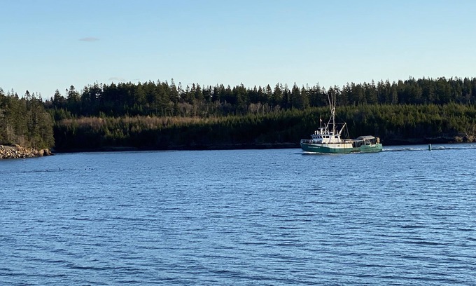 Blacks Harbour House | Waterfront House, Starlink internet, good parking lot, 2 bedrooms