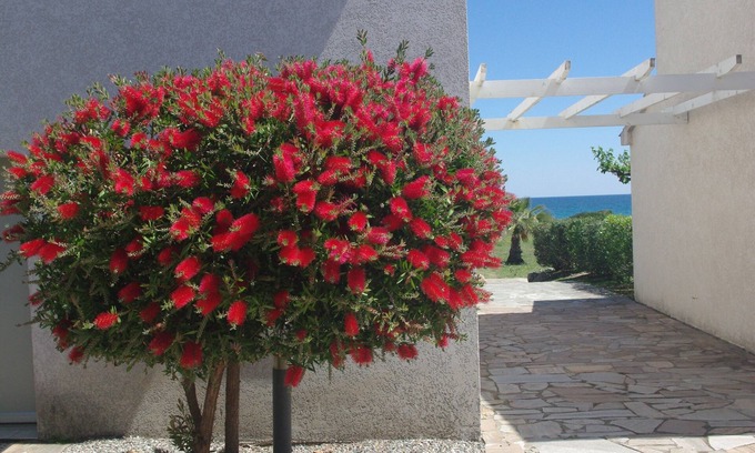 Prunete Villa | Waterfront villa (4 to 6 people), Prunète beach