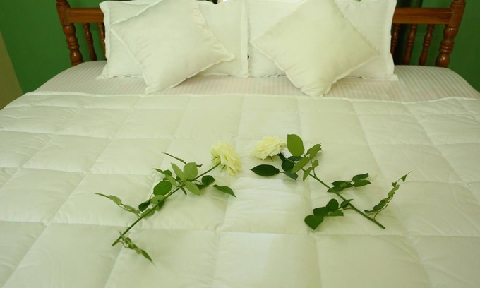 Kolagappara Bed & Breakfast | Wayanad Stay- A plantation homes stay