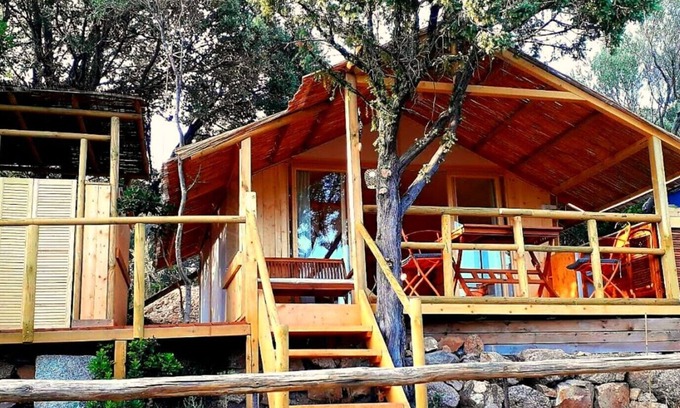 Sa Castangia House | We Are a Farm camping&Guesthouse Only 20min from the Costa Smeralda beach