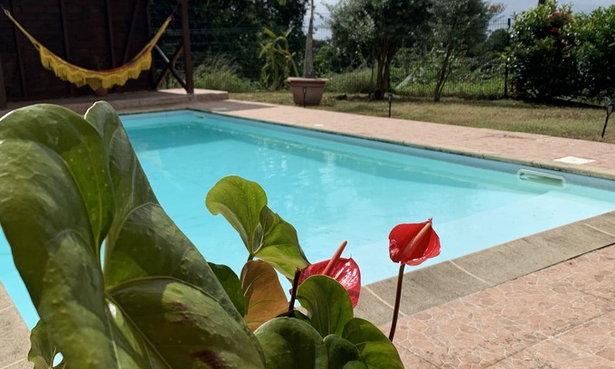 Schoelcher Villa | Welcome to casa fall, a large family villa in the rainforest. Enjoyyyyy!