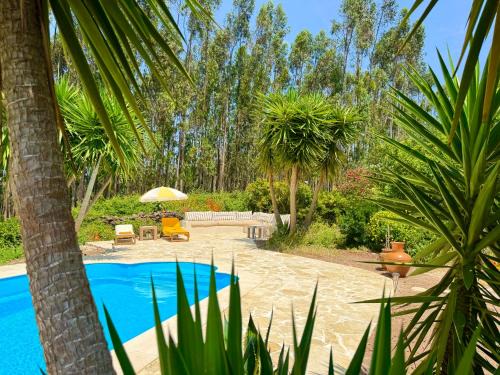 Alvaiazere Bed & Breakfast | Wellbeing guesthouse Casa é Connosco