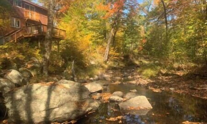 Grafton Cabin | Whispering Woods Cabin - Creekside & Pet Friendly