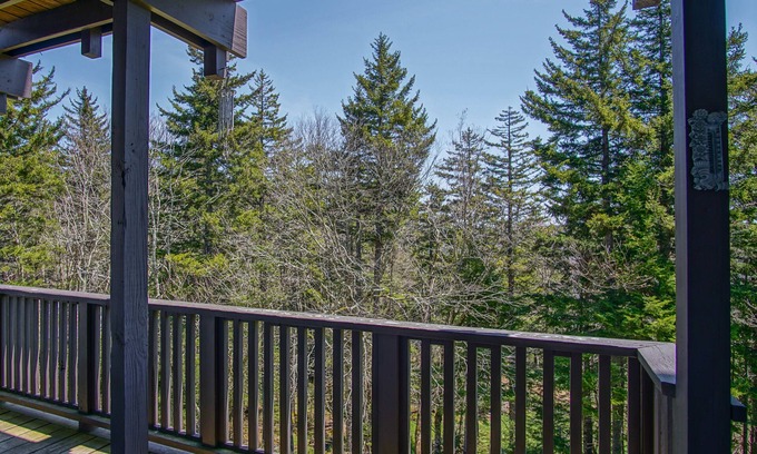 Snowshoe Condo | Whistlepunk #11: 2 Bedroom, 2 Bath: Wood fireplace.Central Location.