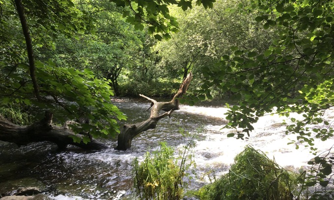 Dartington House | Whole House near Staverton Bridge on the River Dart & Dartington Estate & Totnes