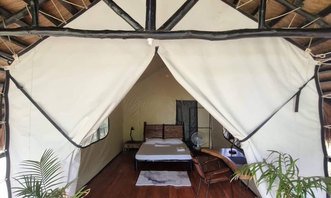 San Vicente Cabin | Whole Resort