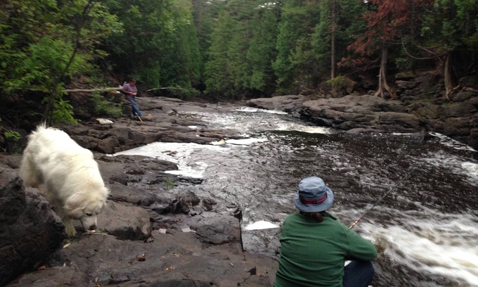 Palmers House | Wildwood Cottage, Duluth, private wooded retreat on the North Shore