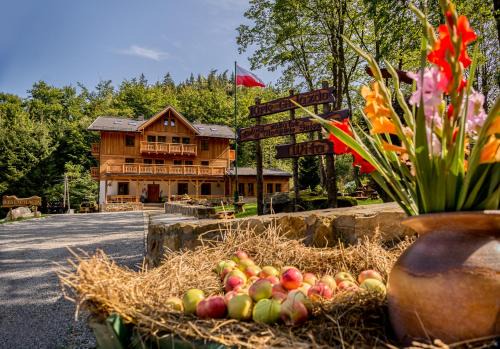 Miedzygorze Bed & Breakfast | Willa Orle Gniazdo