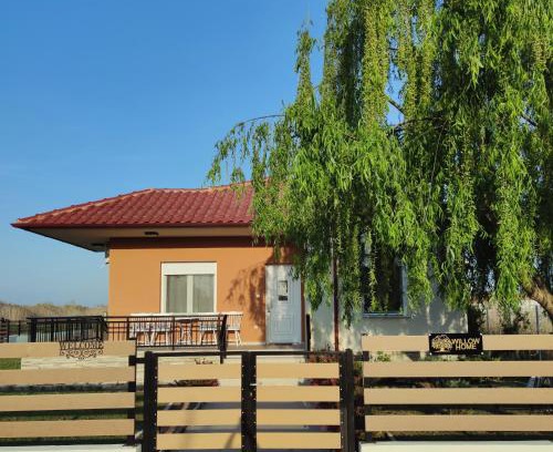 Nestos House | Willow Home