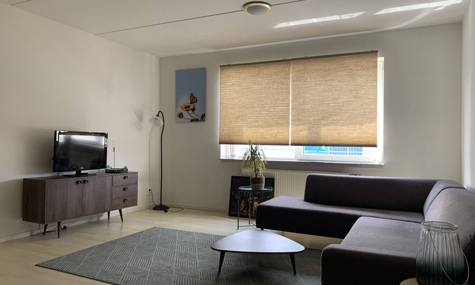 Wormer House | Windmill Beach Apartment Amsterdam - Zaanse Schans