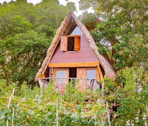 Moragaswewa Other | Wisdom Camping and Glamping