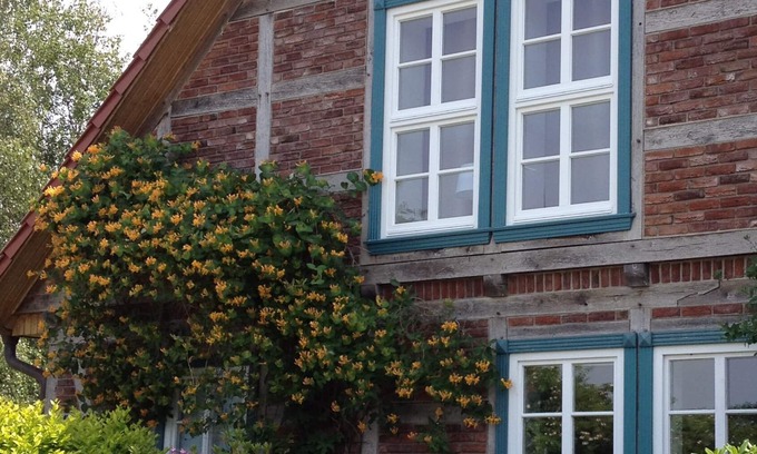 Ruterberg Apartment | Wohlfühlwohnung mit Wintergarten und Terrasse