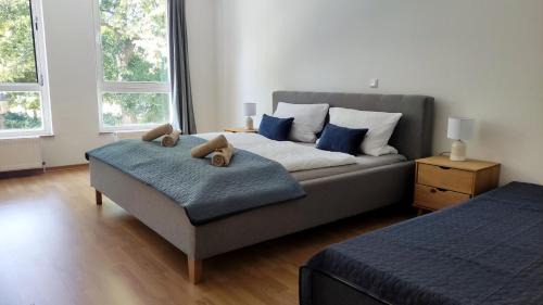 Bad Schmiedeberg Apartment | Wohnung im Herzen der Kurstadt Balkon, Küche,Blick ins Grüne