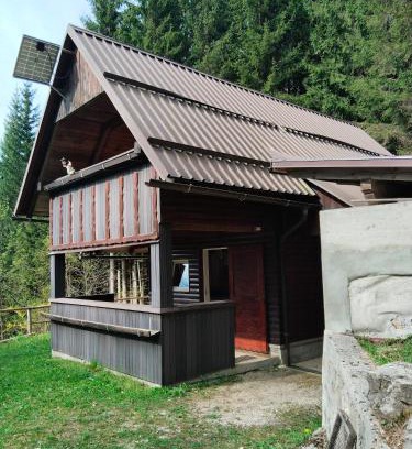 Jesenice Ski Chalet | Wooden Treasure