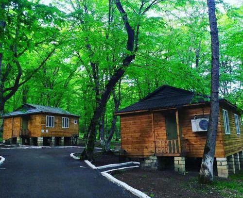 Quba Apartment | WoodenCottages