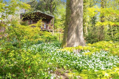 Milton Abbas House | Woodland Views Lodge