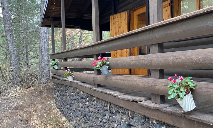 Ragalna Ski Chalet | Woods etna chalet