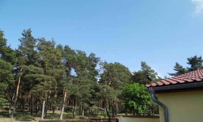 Westerhausen House | World Heritage town of Quedlinburg Wernigerode Animal park & ⛱️Freibad in the town 🚂Brockenbahn