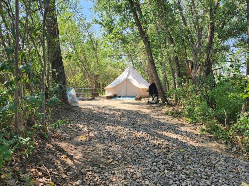 Rosedale Other | #Y2 Sage & Wildflower Yurt