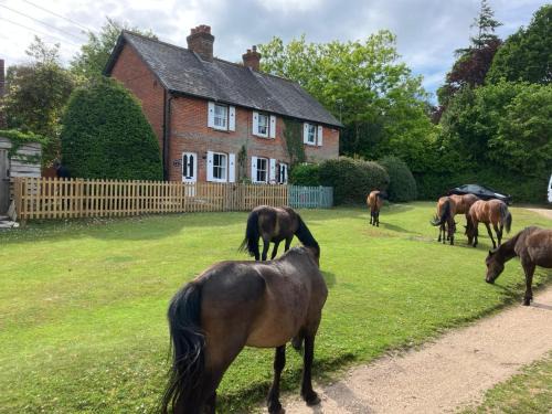 Landford House | Yew Tree Cottage