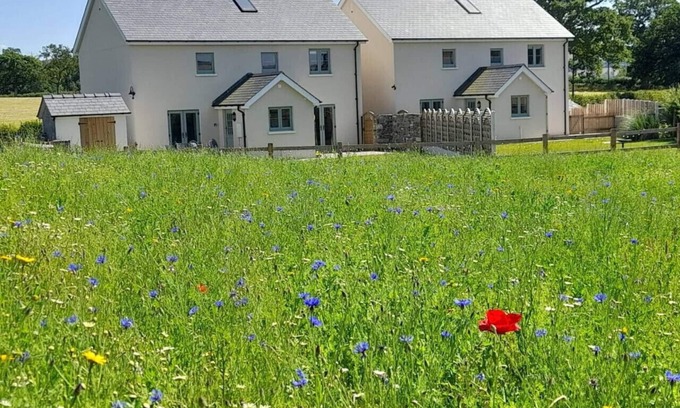 Llandovery House | Ynyswen Arosfa · Family Country Cottage with Stunning Mountain View