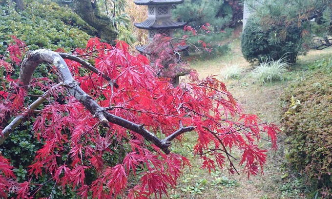 Higashiibaraki-gun House | Yusenso
