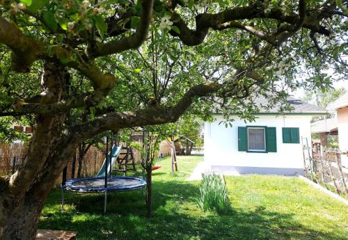 Bekesszentandras House | Zöld Orom Vendégház