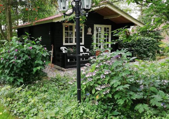 't Haantje House | Zizania