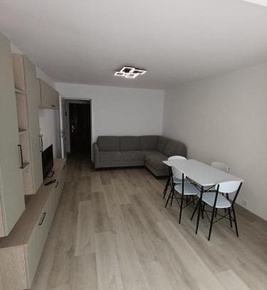 Suceava Apartment | Zlata Bucovina Apartment
