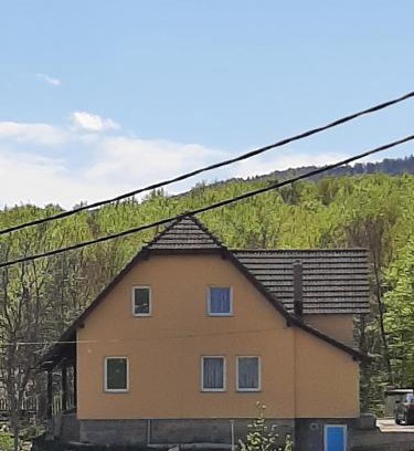 Poljanak Apartment | Zoran