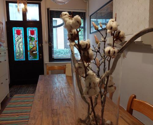 Sint-Andries House | Zuiderzin