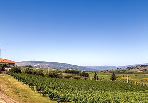 Quinta da Barroca
